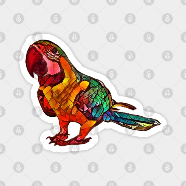 Colorful Parrot Design Magnet by Sanzida Design