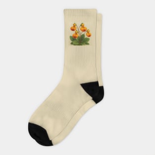 Floral  Calceolaria Uniflora Watercolor Socks