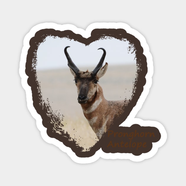 Pronghorn Antelope- Prairie Speedster Magnet by Whisperingpeaks