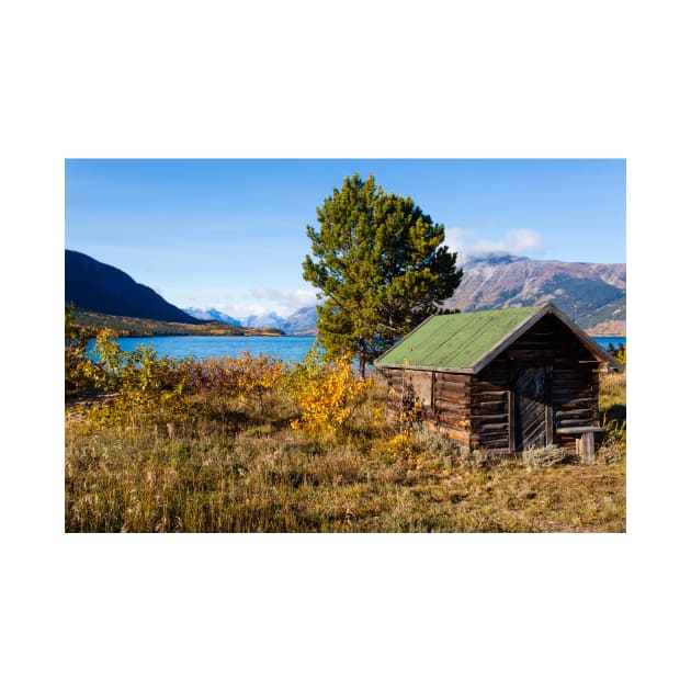 Log shack on Lake Bennet Yukon Territory YT Canada by ImagoBorealis