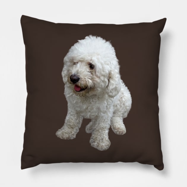 Maltipoo Puppy Pillow by SusanSavad