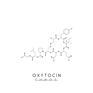 Oxytocin Molecular Structure T-Shirt