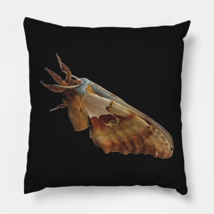 Giant Polyphemus Moth Pillow