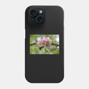 Apple Blossom Phone Case