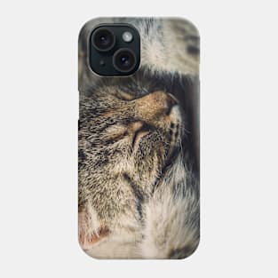 sleeping cat Phone Case