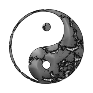 The Yin and Yang (Feminine and Masculine Energy) T-Shirt