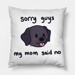 sorry guys my mom said no Pillow