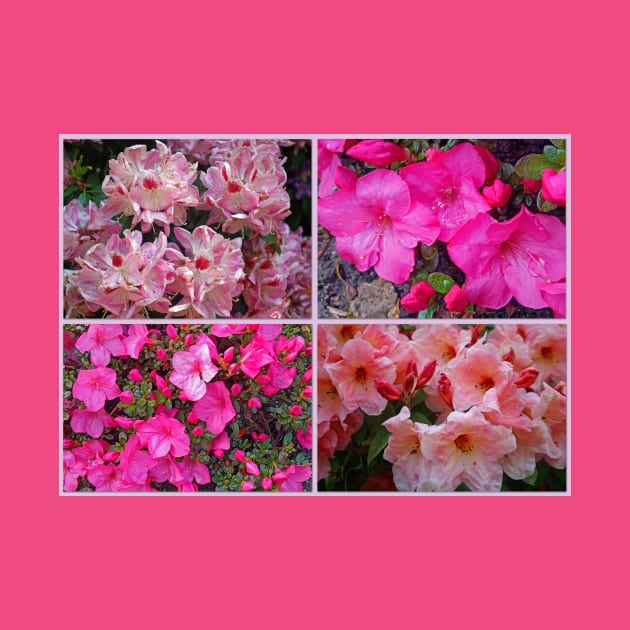 An Assembly of Azaleas by RedHillDigital