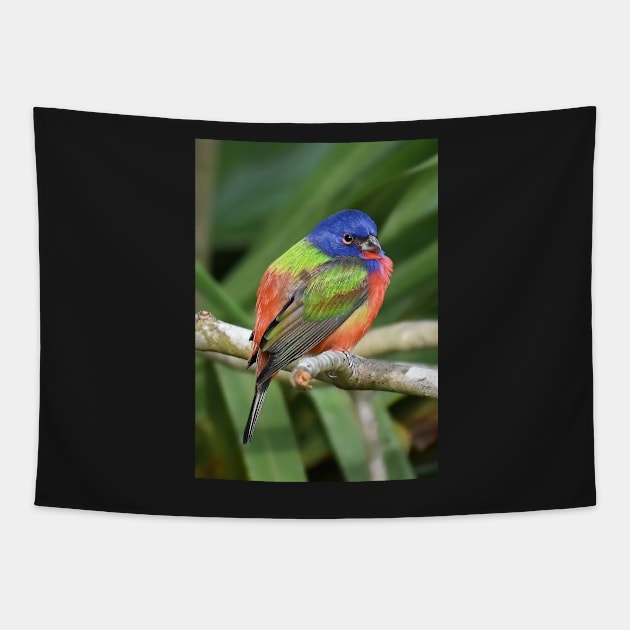 Painted Bunting Bird on Branch Tapestry by candiscamera