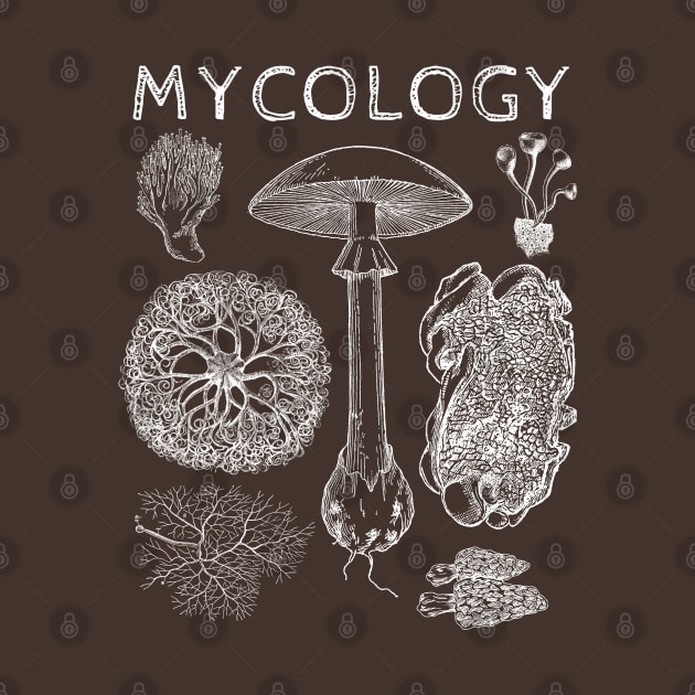 Vintage Mycology Fungi Morel Mushroom Spores by Souls.Print