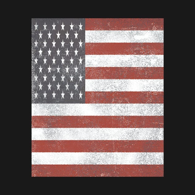 Vintage American Flag by Eric03091978