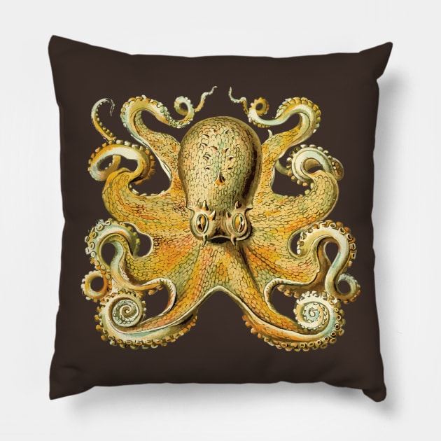 Vintage 1904 Haeckel Octopus - Cephalopod Octopoda Ocean Creature Pillow by natureguided