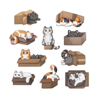 Lot of cats in boxes T-Shirt