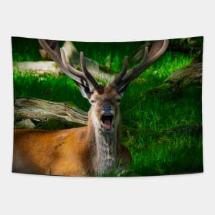 stag 3 Tapestry