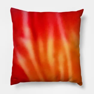 Tye Die? Pillow