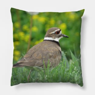 Killdeer Bird in a Field of Flowers Pillow