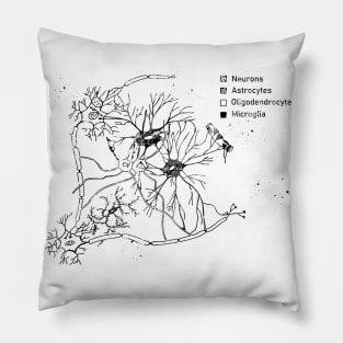 Cortical pyramidal cells Pillow