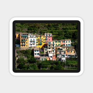 View on the cliff town of Manarola, one of the colorful Cinque Terre on the Italian west coast Magnet