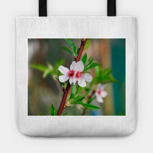 Almond Blossom Tote