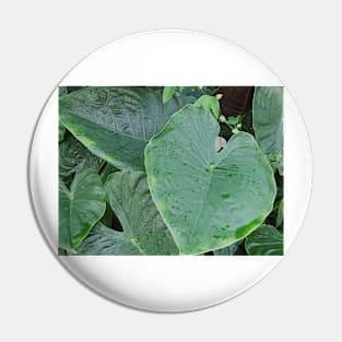 Eve Leaf Pin