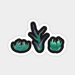 Succulents Magnet