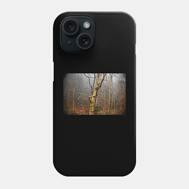 Winter Woodland in Carinthia, Austria Phone Case by jojobob