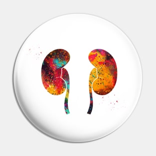 The Kidneys anatomy Pin