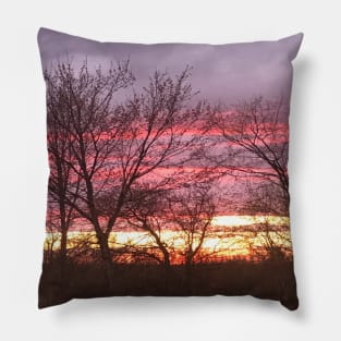Pink and purple Pillow