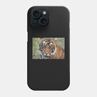 Tiger Portrait Phone Case