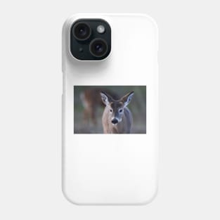 Pretty doe - White-tailed Deer Phone Case