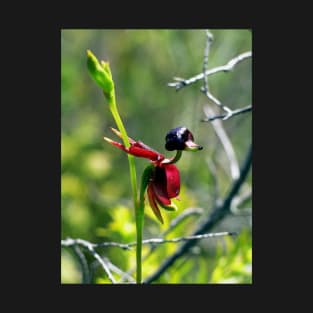 The Flying Duck Orchid T-Shirt