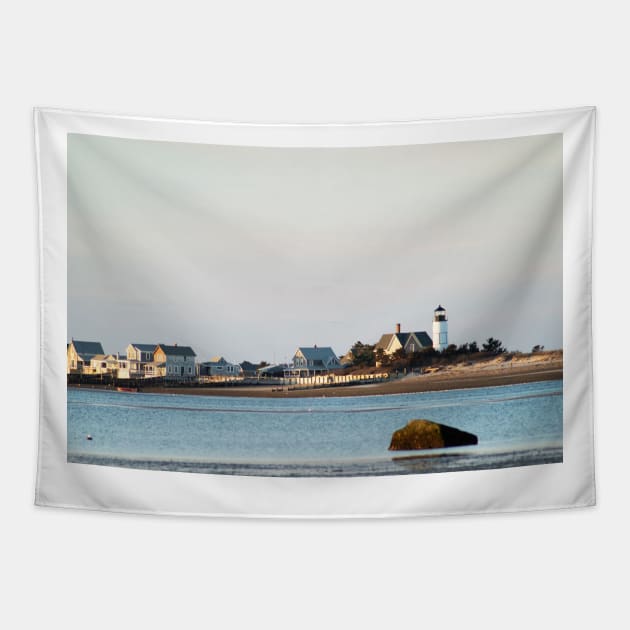 Sandy Neck Tapestry by Autty_Z_Photography