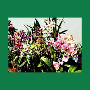 Orchids in the Garden Center T-Shirt