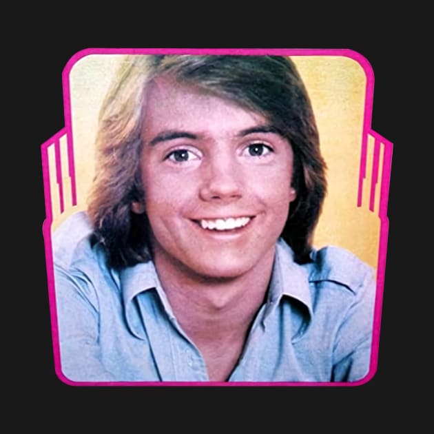 Vintage Super Hardy Boys Shaun Cassidy 1976 Rare Promotional by fancyjan