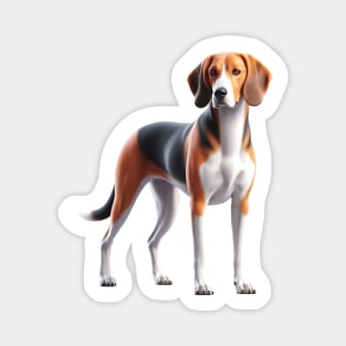 American Foxhound Magnet