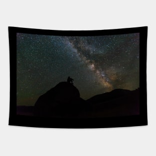 astronomy t-shirts collection Tapestry