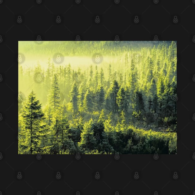 Forest Oil painting by Voodoo Production