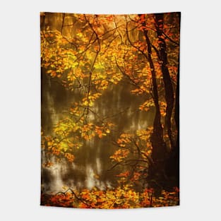 Natural landscape in autumn Tapestry