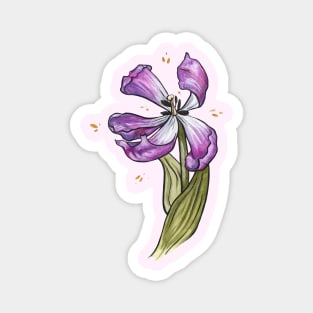 Wilting Tulip Magnet