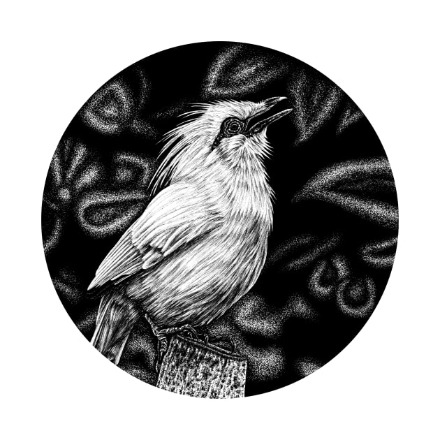 Bali starling illustration by lorendowding