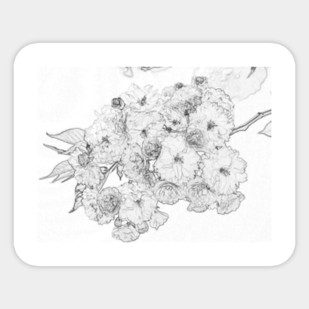 Cherry Blossom Flower Line Art Flower Sticker Teepublic,Cute Family Cartoon Easy Drawing Of A Happy Family