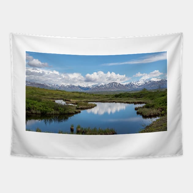 Alaska Range Tapestry by andykazie