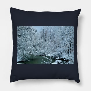 Southern Illinois Winter Scene 2_Dec 2012 Pillow