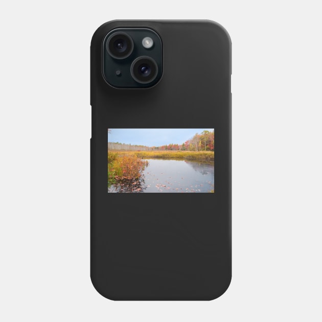 Calm autumn colors Phone Case by brians101