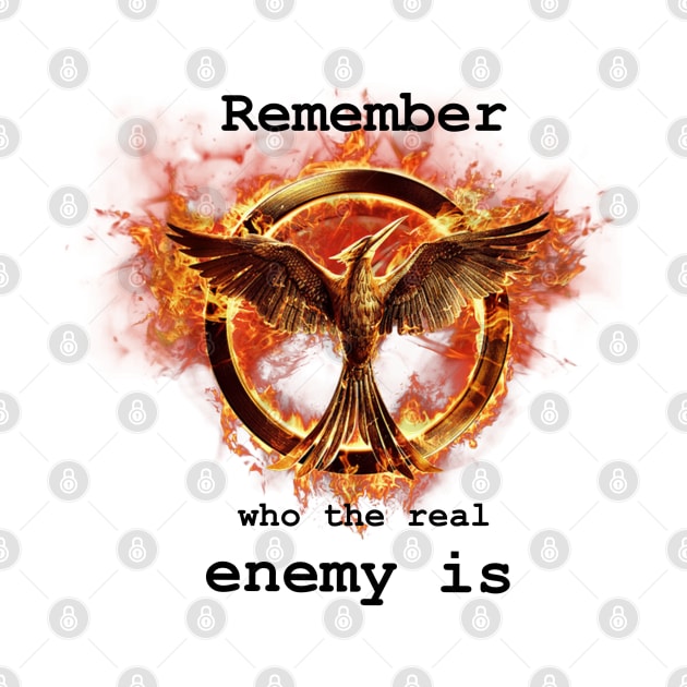 Catching fire: “Remember who the real enemy is” by Thalionwen Creates