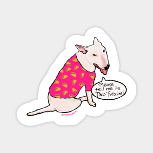 Bull Terrier Taco Tuesday Magnet