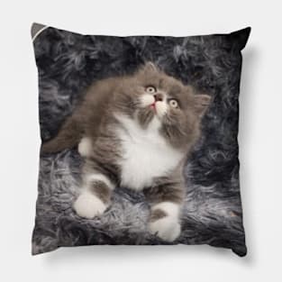 lovely cats Pillow