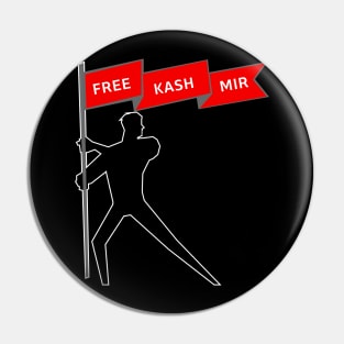 Free Kashmir Take Out Your Flag And Support Kashmir Pin