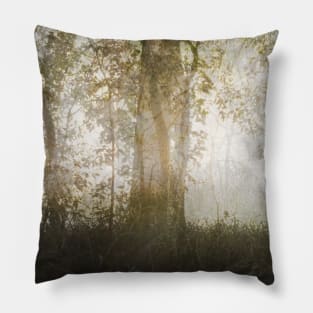 Autumnal Malaise Pillow