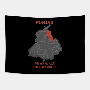 Punjab 07 Wale Hoshiarpur Tapestry